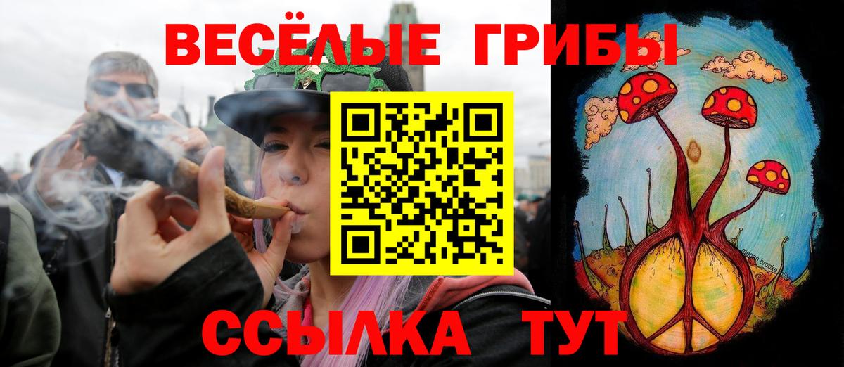 купить   Вход с VPN  Бузулук  Псилоцибиновые грибы Psilocybine cubensis 