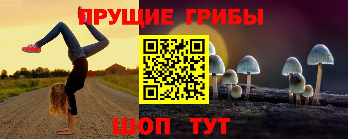 Псилоцибиновые грибы Psilocybe Бузулук